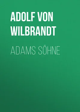 Adolf Wilbrandt Adams Söhne обложка книги