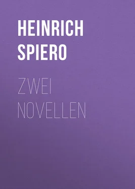 Heinrich Spiero Zwei Novellen обложка книги