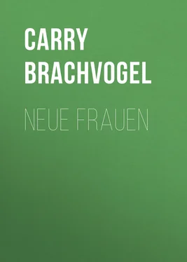 Carry Brachvogel Neue Frauen обложка книги