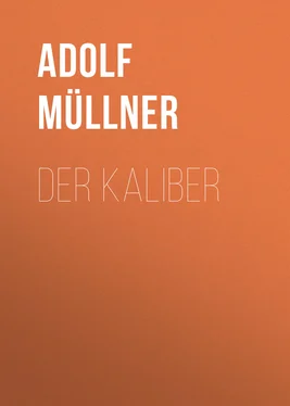 Adolf Müllner Der Kaliber обложка книги