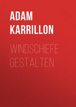 Adam Karrillon Windschiefe Gestalten обложка книги