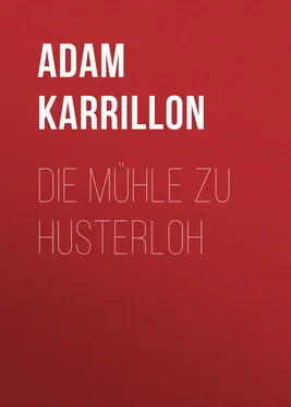 Adam Karrillon Die Mühle zu Husterloh обложка книги