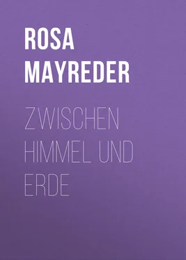 Rosa Mayreder Zwischen Himmel und Erde обложка книги