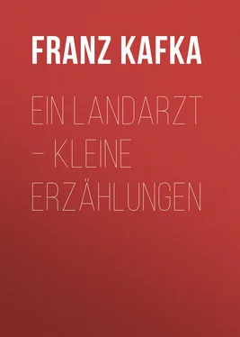 Franz Kafka Ein Landarzt – Kleine Erzählungen обложка книги