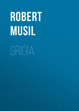 Robert Musil Grigia обложка книги