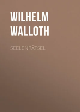 Wilhelm Walloth Seelenrätsel обложка книги
