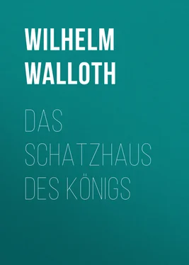 Wilhelm Walloth Das Schatzhaus des Königs обложка книги