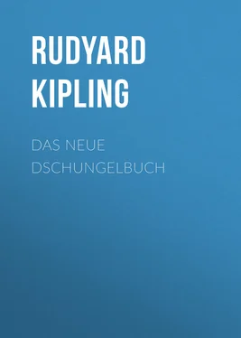 Rudyard Kipling Das neue Dschungelbuch обложка книги