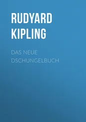 Rudyard Kipling - Das neue Dschungelbuch