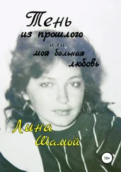 Array Лина Шамой - Тень из прошлого, или Моя больная любовь