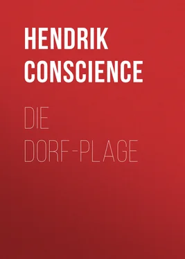 Hendrik Conscience Die Dorf-Plage обложка книги