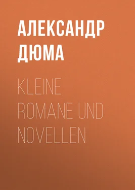Alexandre Dumas der Ältere Kleine Romane und Novellen обложка книги