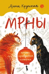 Дина Крупская - МРНЫ (почти правдивая история)