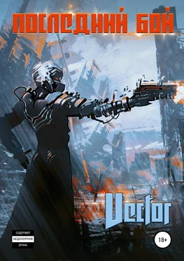 Vector Последний бой обложка книги