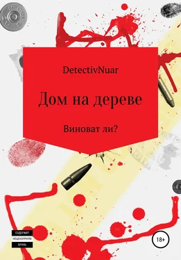 DetectivNuar Дом на дереве обложка книги