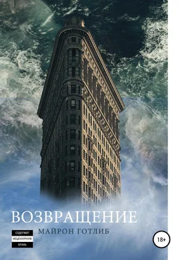 Майрон Готлиб Возвращение обложка книги
