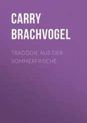 Carry Brachvogel - Tragödie aus der Sommerfrische