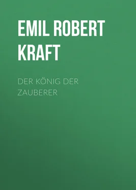 Emil Robert Kraft Der König der Zauberer обложка книги