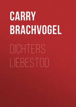 Carry Brachvogel Dichters Liebestod обложка книги
