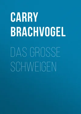 Carry Brachvogel Das große Schweigen обложка книги