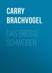 Carry Brachvogel - Das große Schweigen