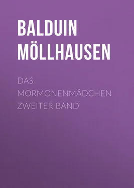 Balduin Möllhausen Das Mormonenmädchen Zweiter Band обложка книги