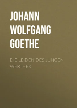 Johann Von goethe Die Leiden des jungen Werther обложка книги