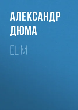 Alexandre Dumas der Ältere Elim обложка книги