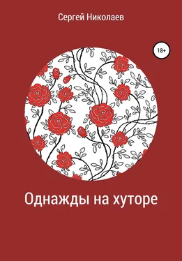 Сергей Николаев Однажды на хуторе обложка книги