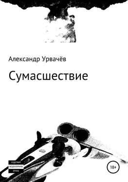 Александр Урвачёв Сумасшествие обложка книги