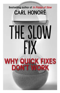 Carl Honore The Slow Fix: Why Quick Fixes Don’t Work (extract) обложка книги