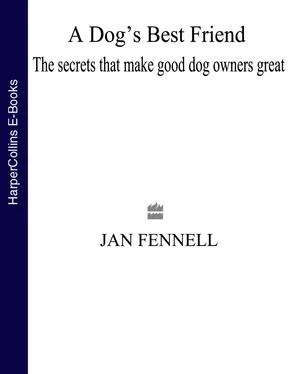 Jan Fennell A Dog’s Best Friend: The Secrets that Make Good Dog Owners Great обложка книги