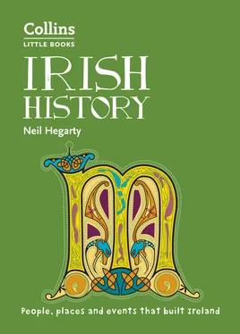 Neil Hegarty Irish History: People, places and events that built Ireland обложка книги