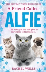 Rachel Wells - A Friend Called Alfie