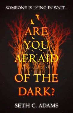 Seth Adams Are You Afraid of the Dark? обложка книги