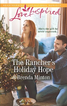 Brenda Minton The Rancher's Holiday Hope обложка книги