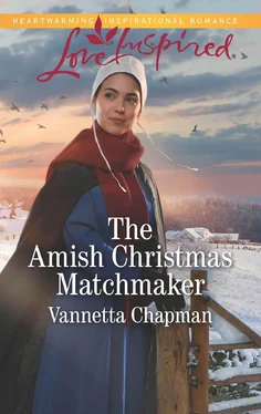Vannetta Chapman The Amish Christmas Matchmaker обложка книги