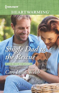 Cari Webb Single Dad To The Rescue обложка книги