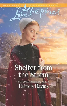 Patricia Davids Shelter From The Storm обложка книги