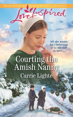 Carrie Lighte Courting The Amish Nanny обложка книги