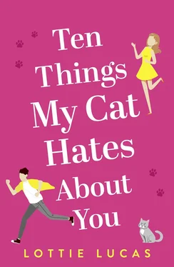 Lottie Lucas Ten Things My Cat Hates About You обложка книги