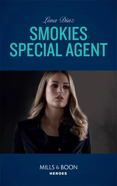 Lena Diaz Smokies Special Agent обложка книги