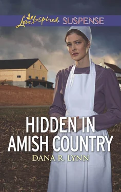 Dana Lynn Hidden In Amish Country обложка книги