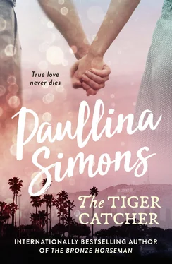 Paullina Simons The Tiger Catcher обложка книги