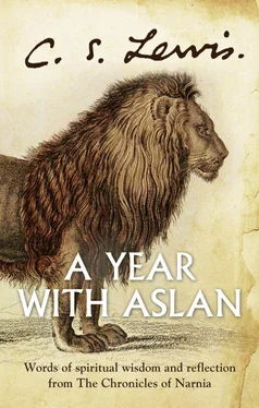 C. Lewis A Year With Aslan: Words of Wisdom and Reflection from the Chronicles of Narnia обложка книги
