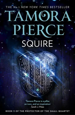 Tamora Pierce Squire обложка книги