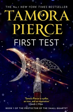 Tamora Pierce First Test обложка книги