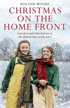 Roland Moore Christmas on the Home Front обложка книги