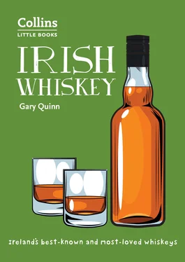 Gary Quinn Irish Whiskey: Ireland’s best-known and most-loved whiskeys обложка книги