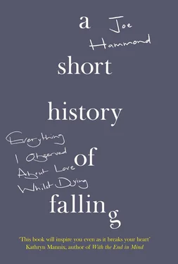 Joe Hammond A Short History of Falling: Everything I Observed About Love Whilst Dying обложка книги